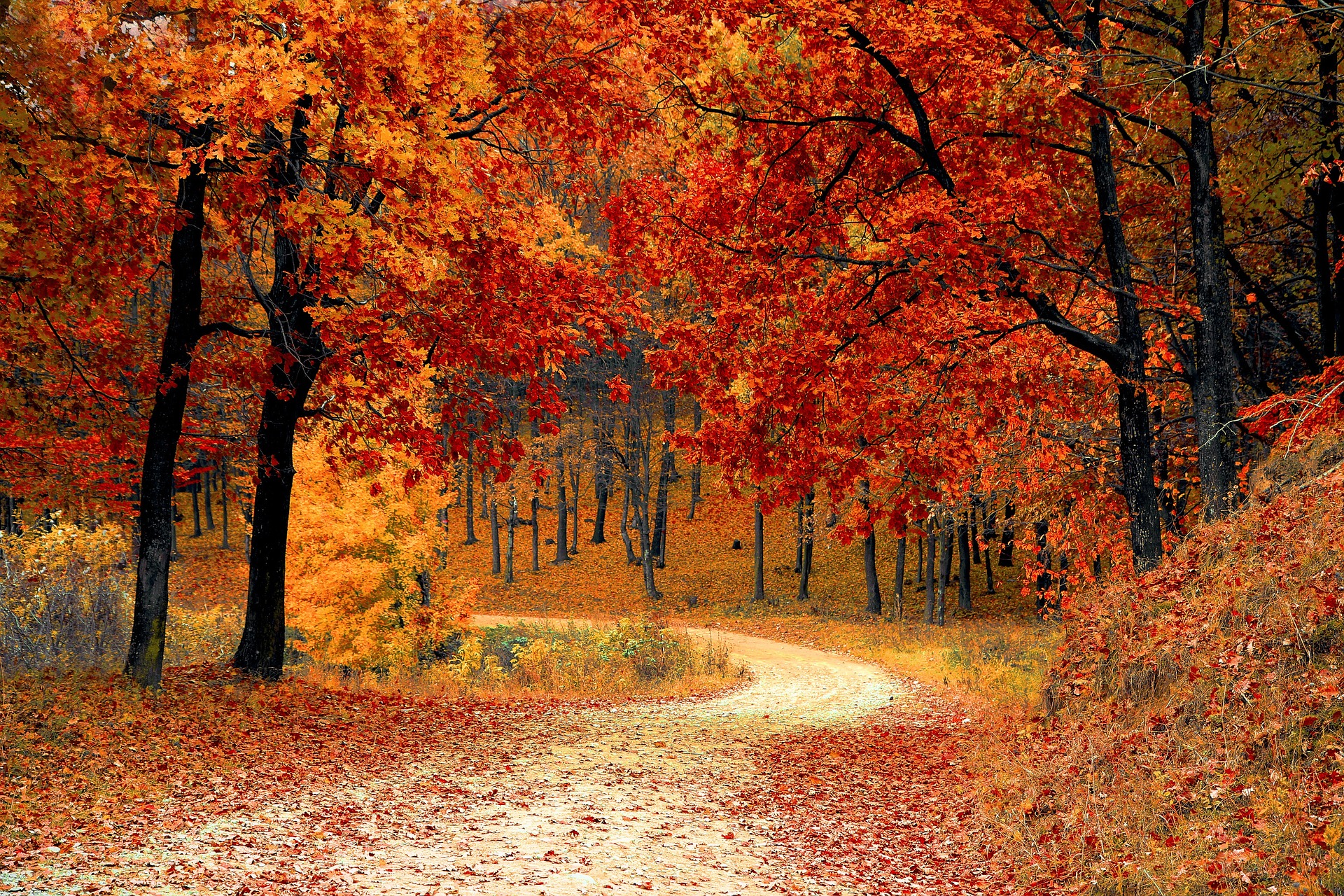 Chinese medicine Metal and Autumn